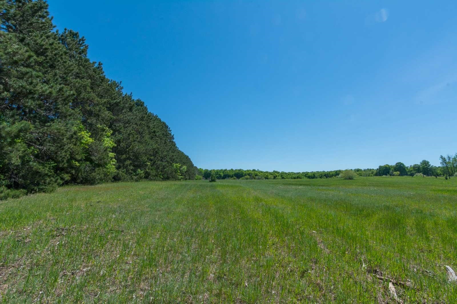 0 West Ryant Road Maple City, MI 49664 - Photo 4 of 25