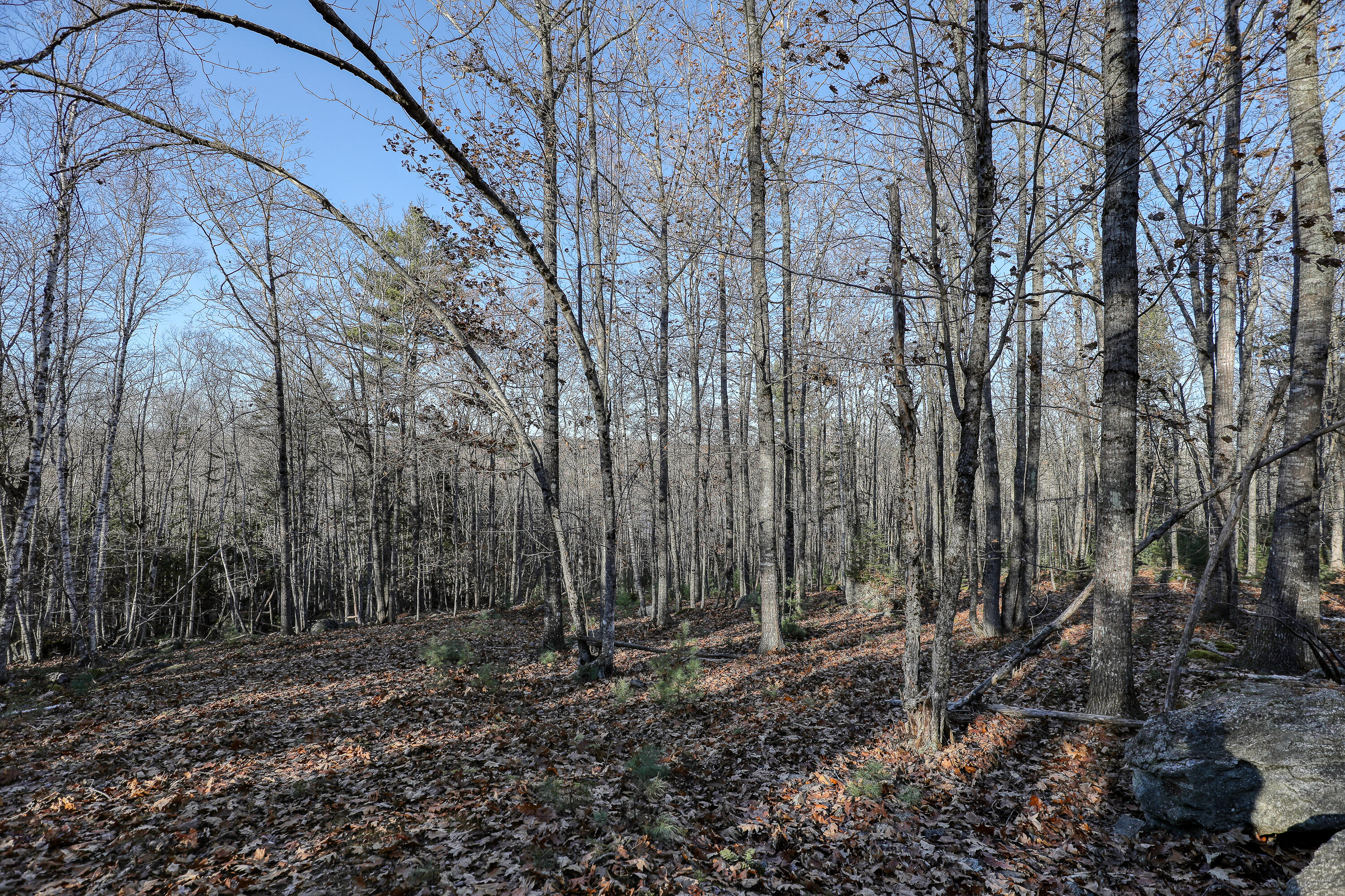 5 Newbury Neck Road Surry, ME 04684 - Photo 6 of 7 164A7105