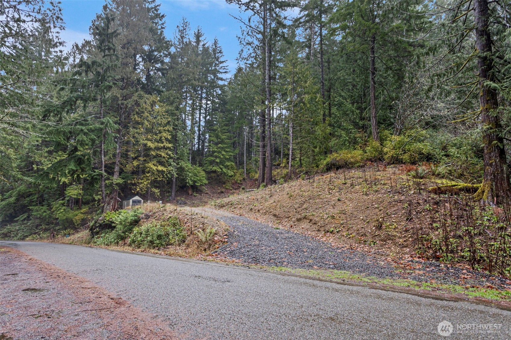19560 Northeast North Shore Road Tahuya, WA 98588 - Photo 1 of 8 a view of a yard with plants and trees