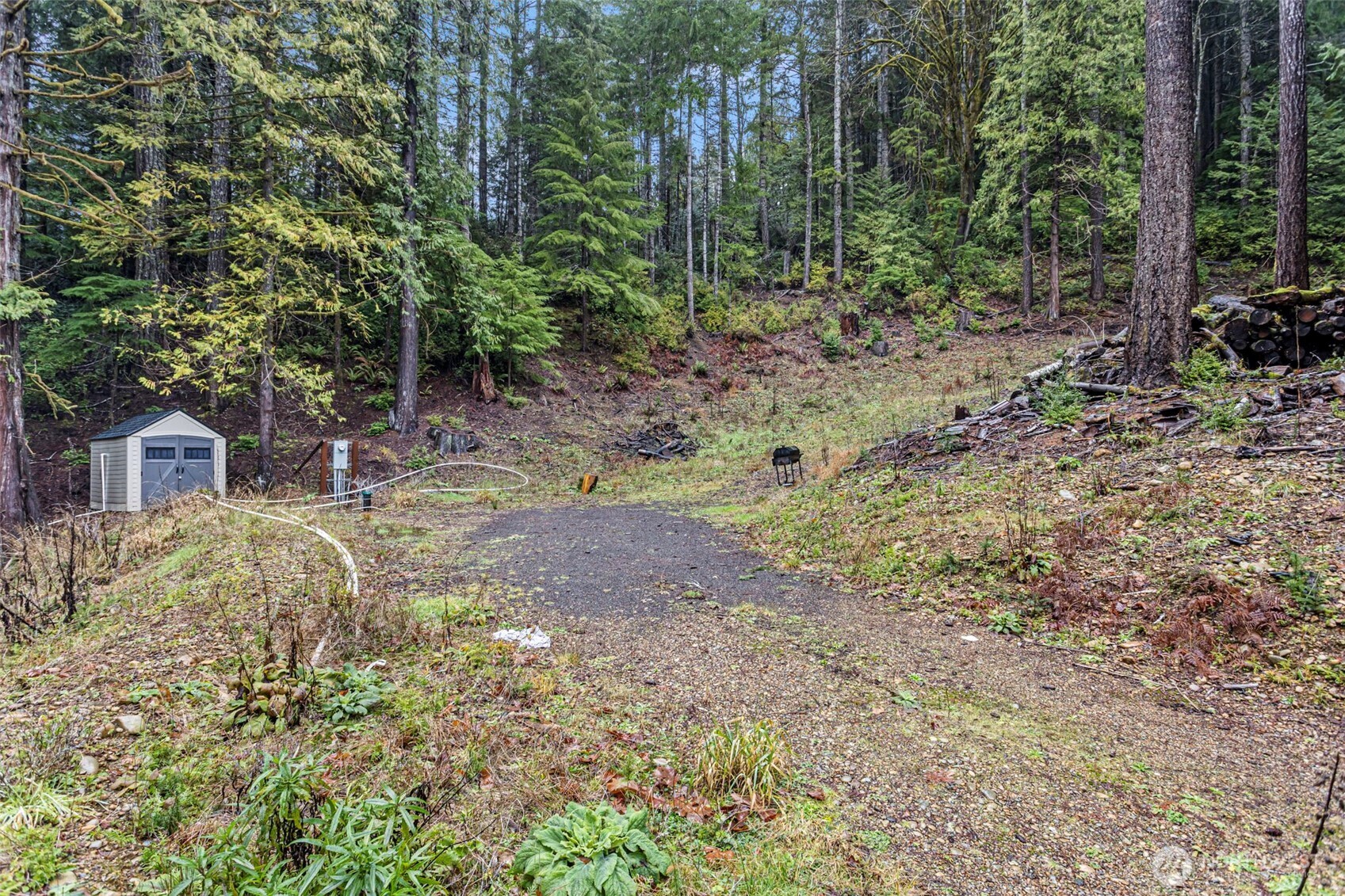 19560 Northeast North Shore Road Tahuya, WA 98588 - Photo 3 of 8 a backyard of a house with lots of green space