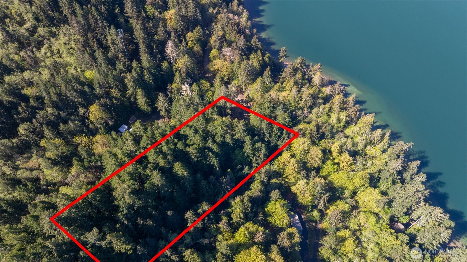 19560 Northeast North Shore Road Tahuya, WA 98588 - Photo 7 of 8 a picture of flowers