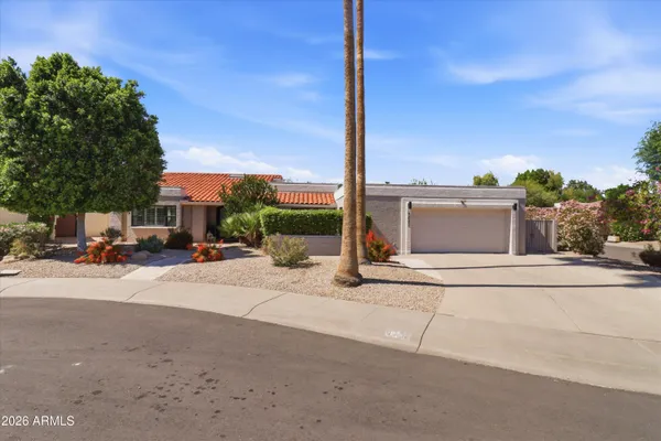 a view of a backyard with table and chairs plants and palm trees
