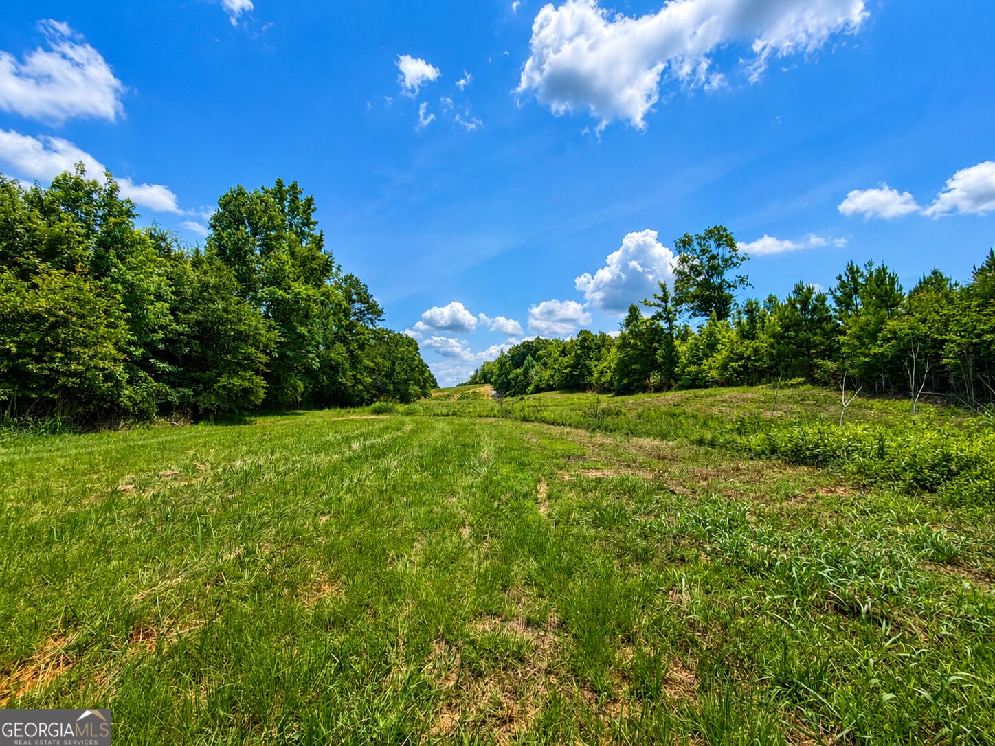47-acres Cochran Road Madison, GA 30650 - Photo 14 of 22 Gallery Image 14