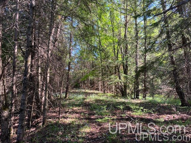 3980 County Road 476 Ishpeming, MI 49849 - Photo 30 of 37