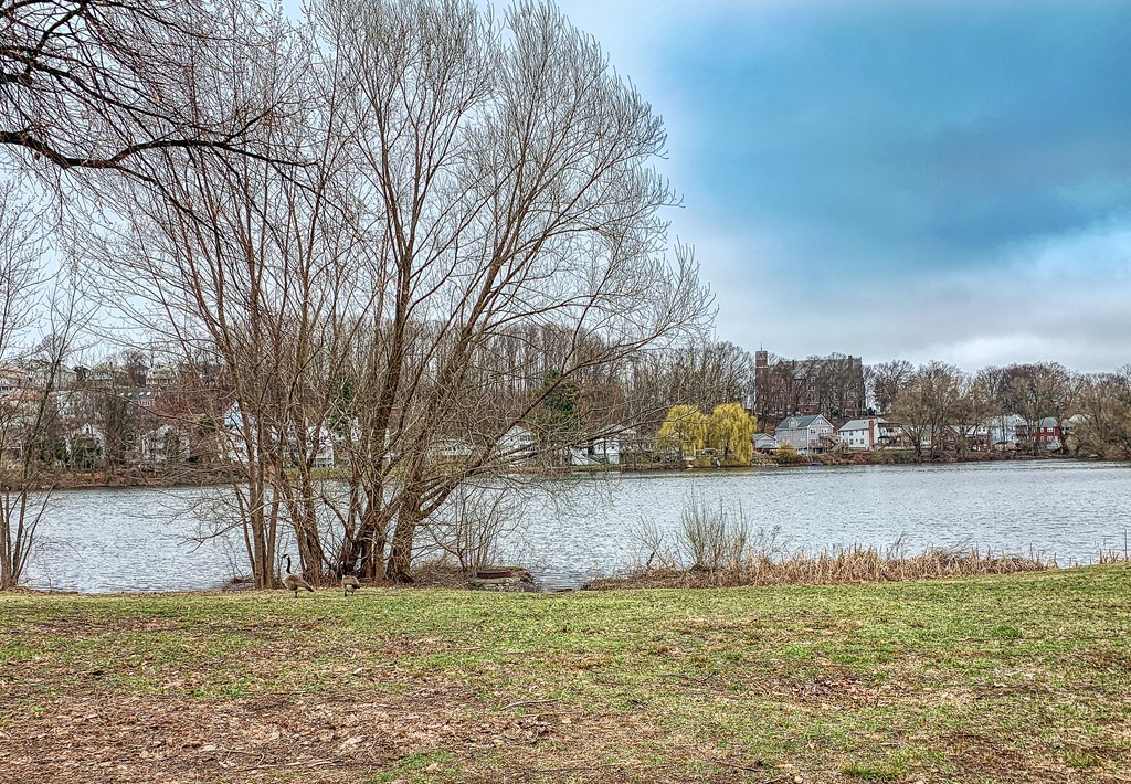 140 Lake Shore Road, Unit 2 Boston, MA 02135 - Photo 18 of 19