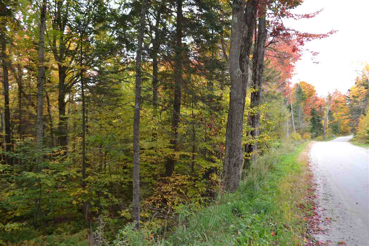 Lot 5 East Bear Swamp Road Middlesex, VT 05602 - Photo 2 of 23