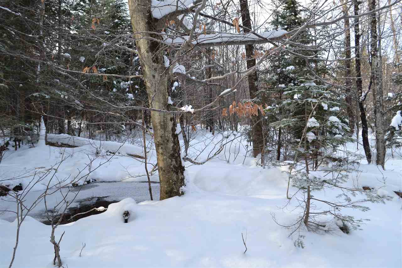 Lot 5 East Bear Swamp Road Middlesex, VT 05602 - Photo 11 of 23