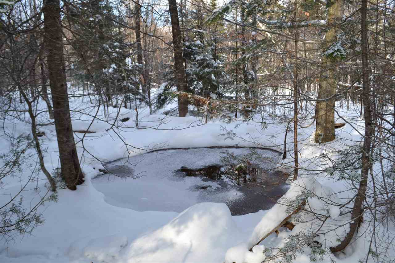 Lot 5 East Bear Swamp Road Middlesex, VT 05602 - Photo 12 of 23