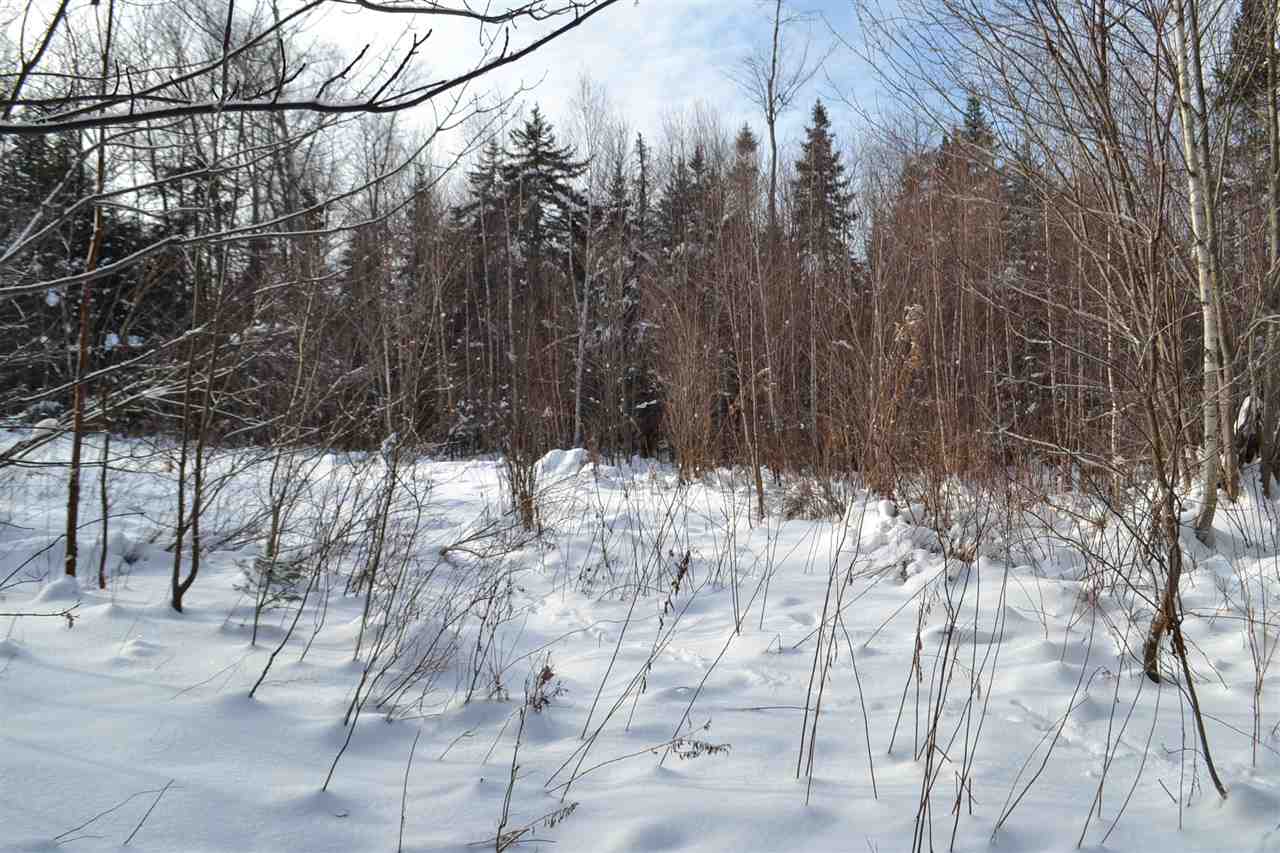 Lot 5 East Bear Swamp Road Middlesex, VT 05602 - Photo 13 of 23