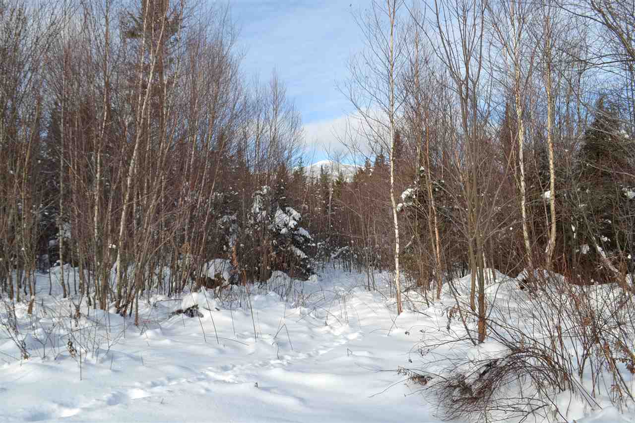 Lot 5 East Bear Swamp Road Middlesex, VT 05602 - Photo 14 of 23