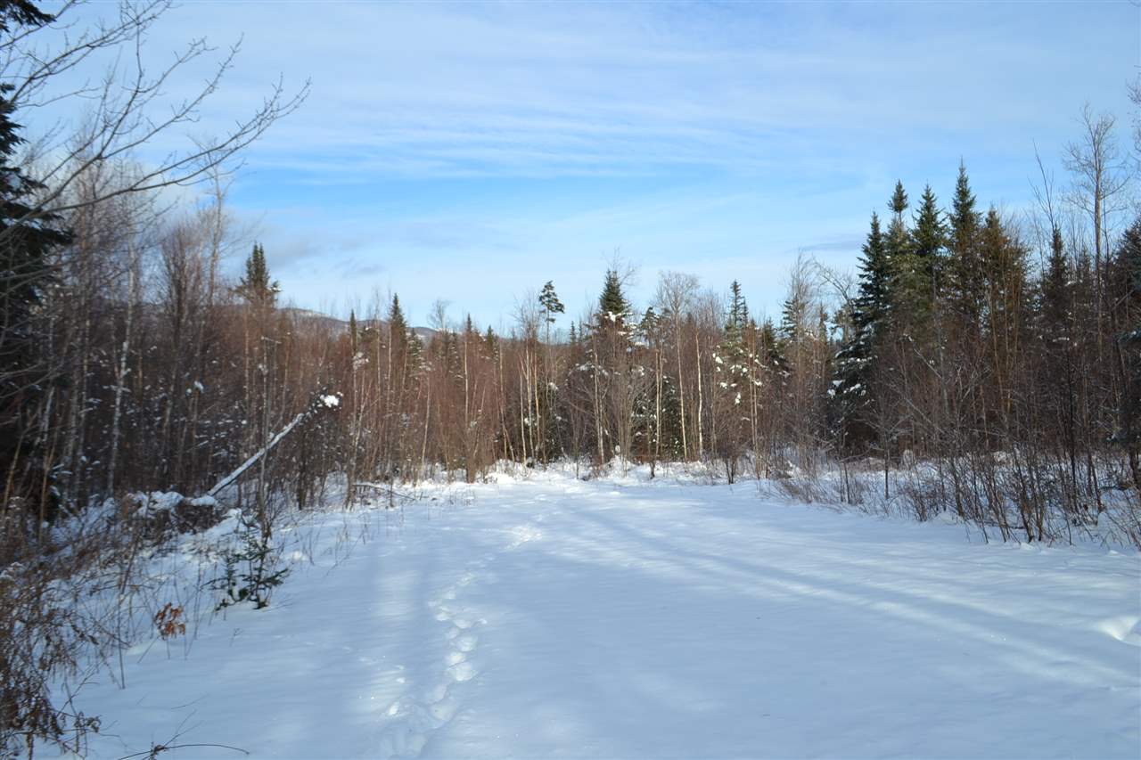 Lot 5 East Bear Swamp Road Middlesex, VT 05602 - Photo 15 of 23