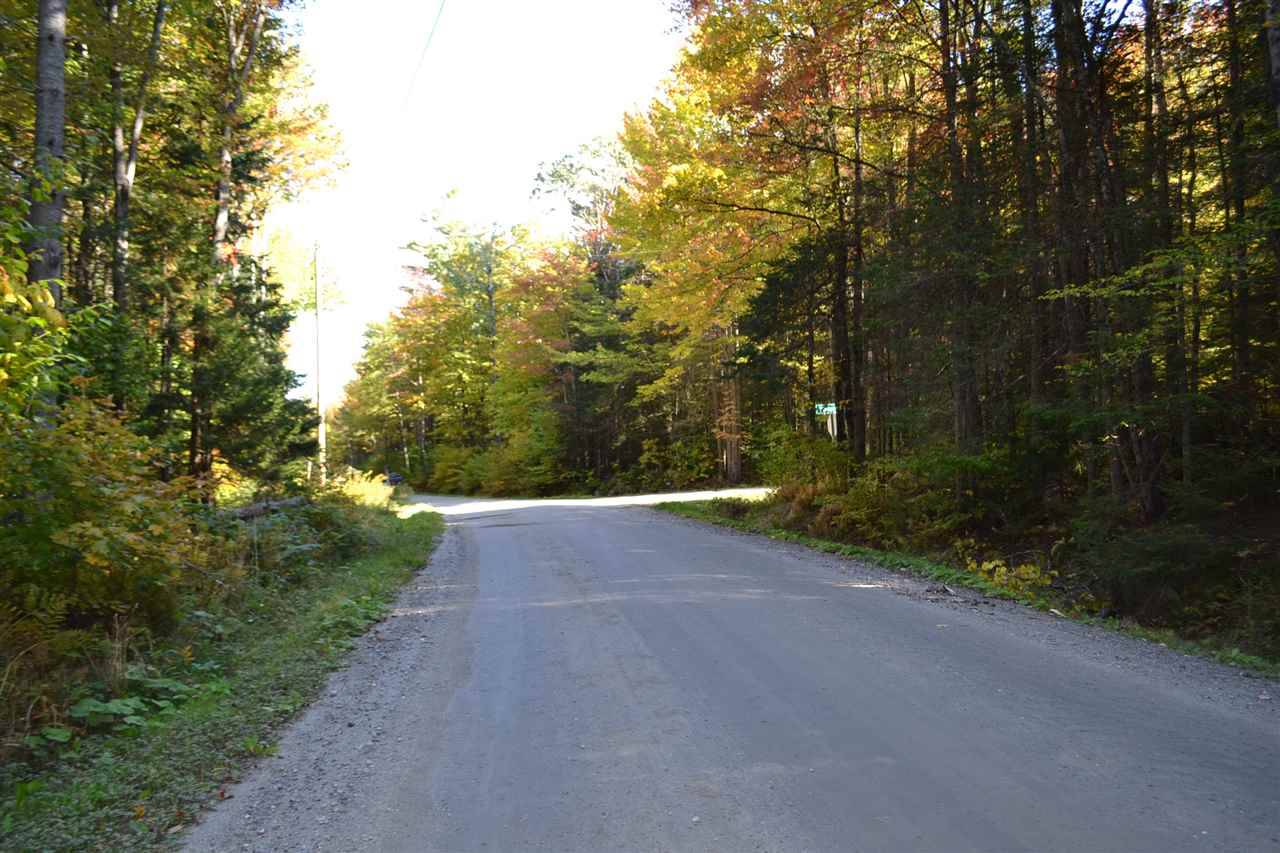 Lot 5 East Bear Swamp Road Middlesex, VT 05602 - Photo 16 of 23