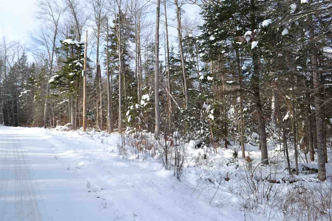 Lot 5 East Bear Swamp Road Middlesex, VT 05602 - Photo 17 of 23