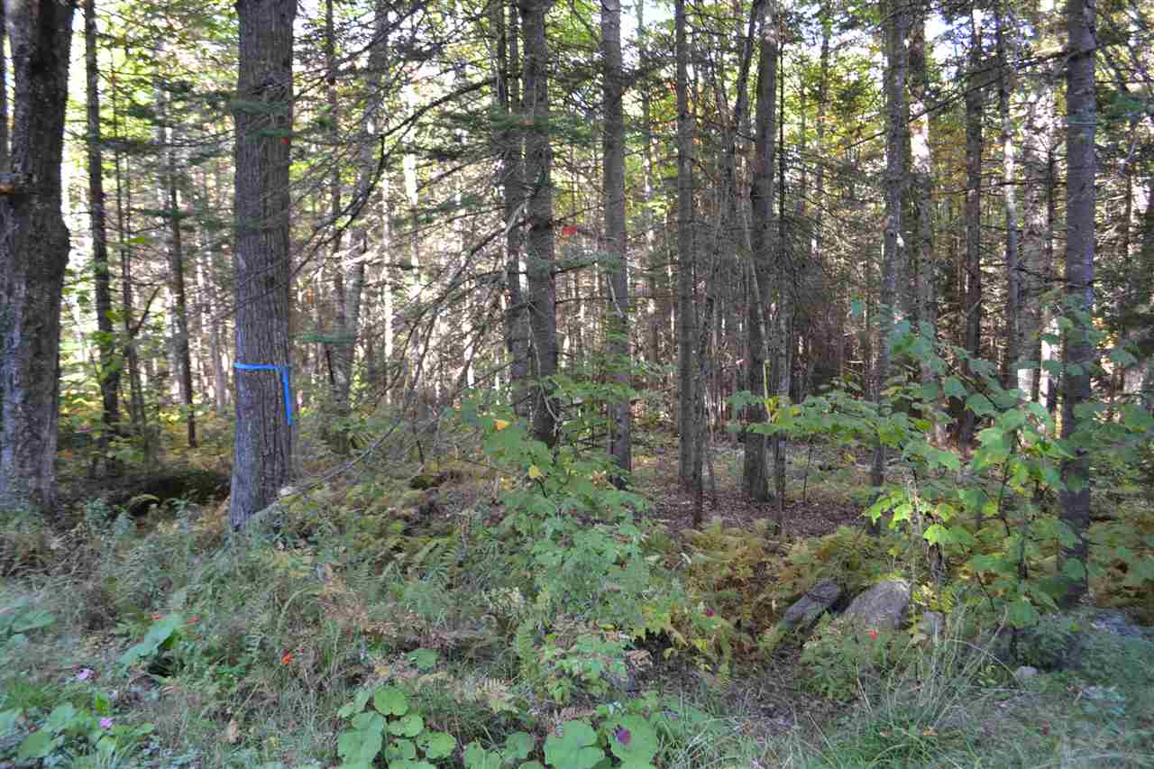 Lot 5 East Bear Swamp Road Middlesex, VT 05602 - Photo 18 of 23