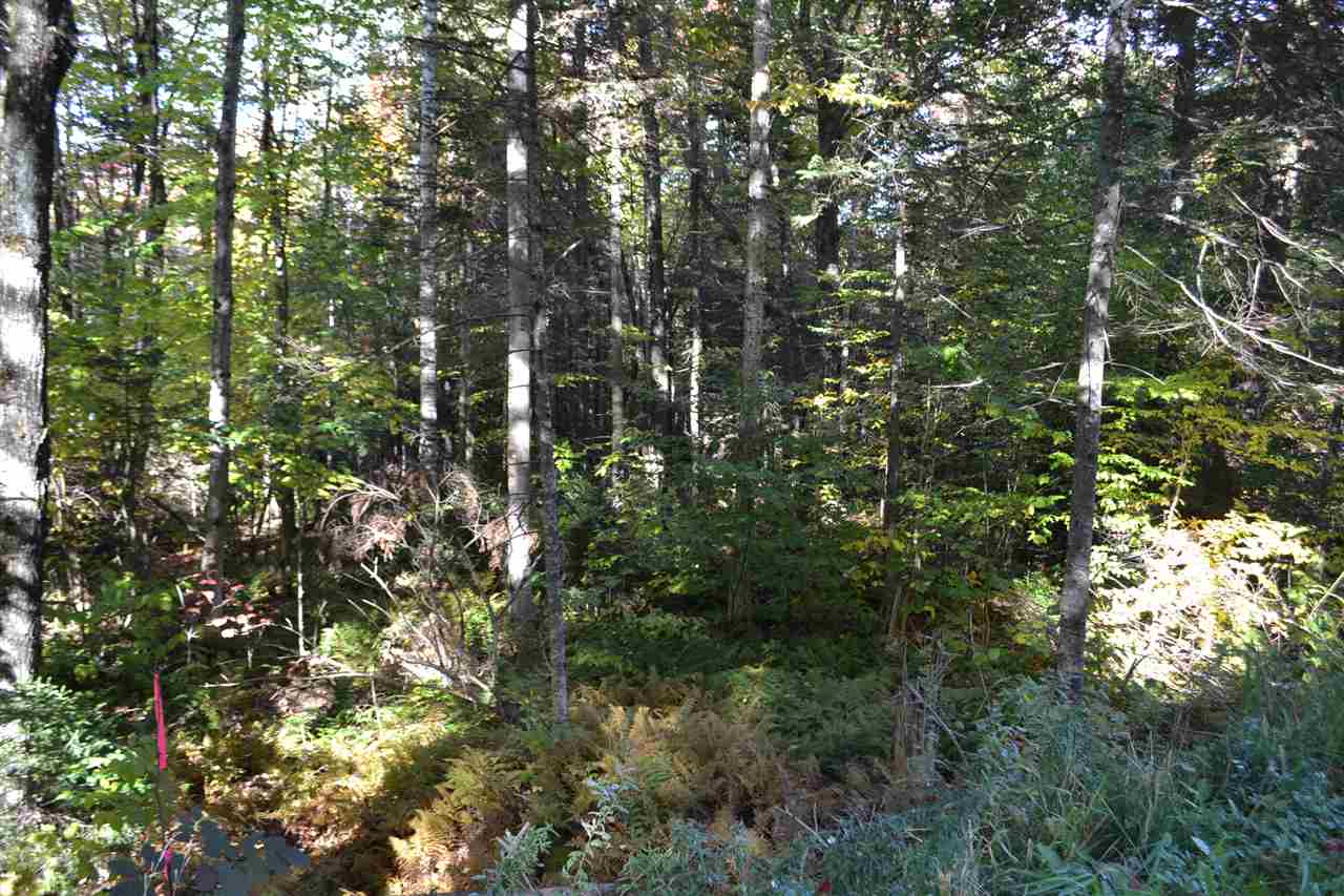 Lot 5 East Bear Swamp Road Middlesex, VT 05602 - Photo 19 of 23