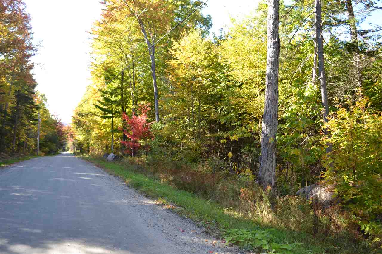 Lot 5 East Bear Swamp Road Middlesex, VT 05602 - Photo 21 of 23