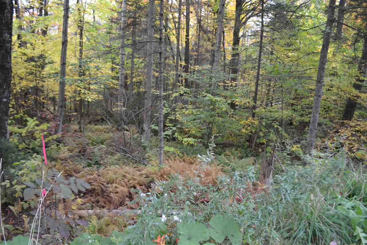 Lot 5 East Bear Swamp Road Middlesex, VT 05602 - Photo 22 of 23
