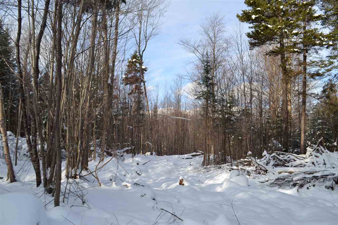 Lot 5 East Bear Swamp Road Middlesex, VT 05602 - Photo 4 of 23