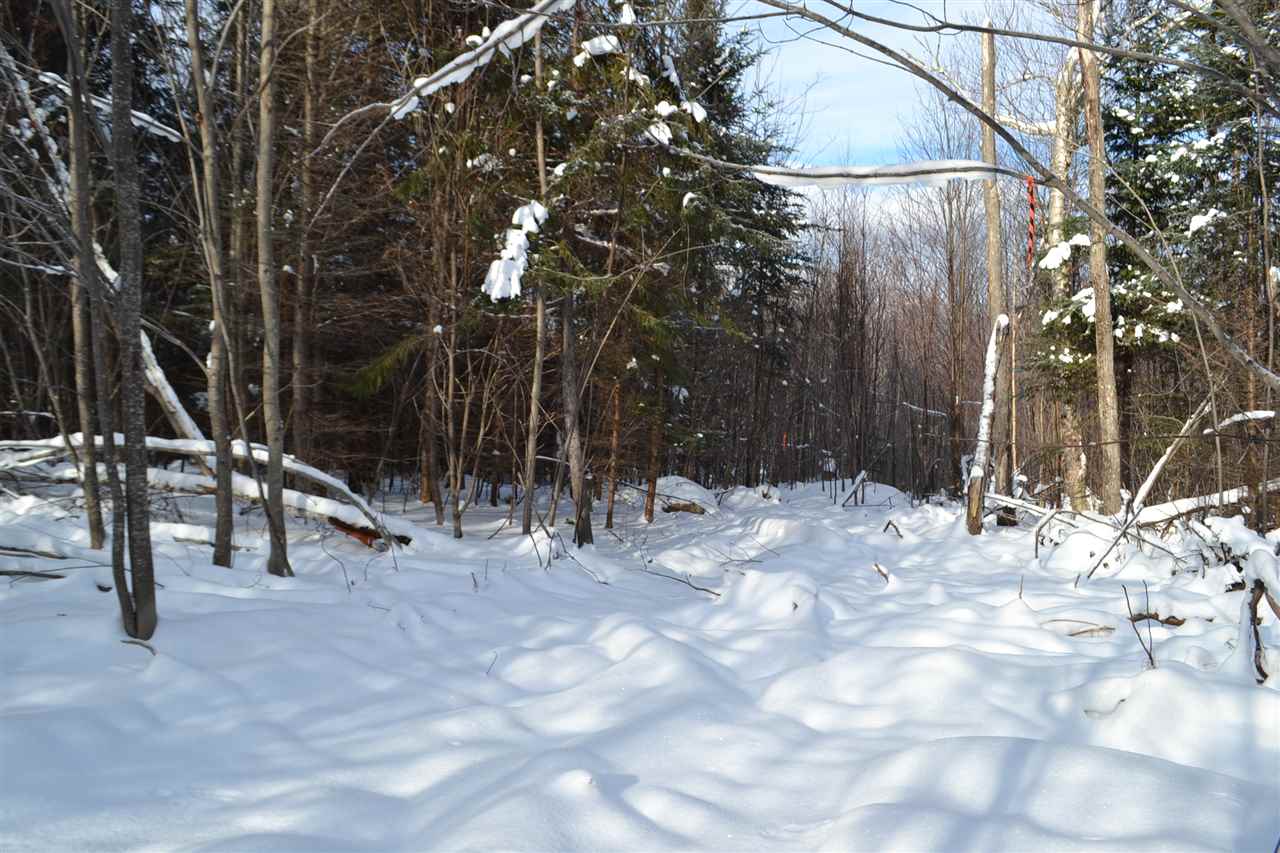 Lot 5 East Bear Swamp Road Middlesex, VT 05602 - Photo 5 of 23