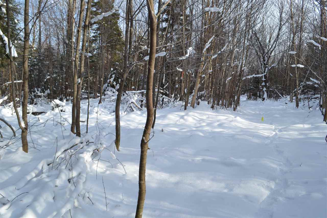 Lot 5 East Bear Swamp Road Middlesex, VT 05602 - Photo 6 of 23