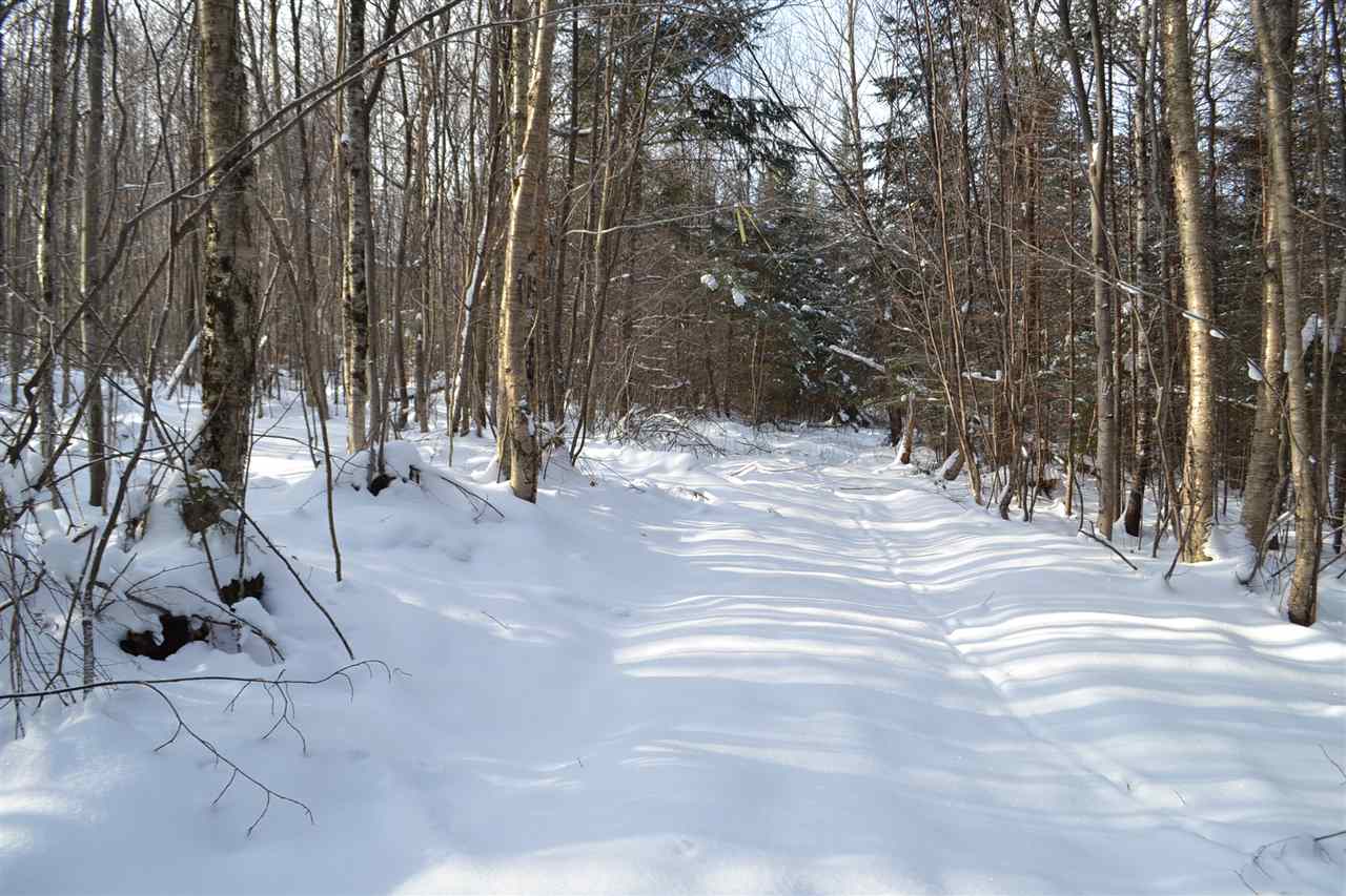 Lot 5 East Bear Swamp Road Middlesex, VT 05602 - Photo 7 of 23