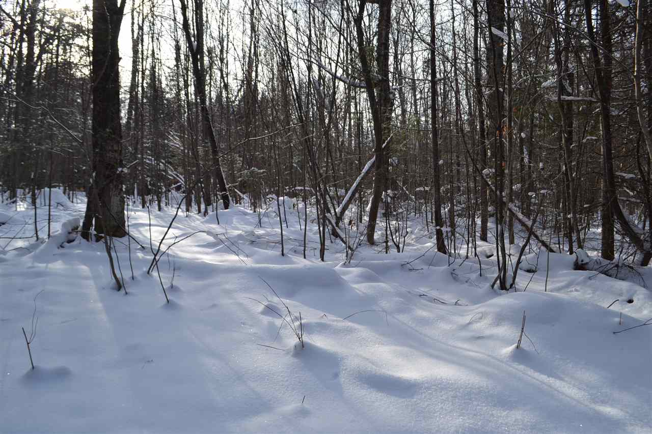 Lot 5 East Bear Swamp Road Middlesex, VT 05602 - Photo 8 of 23