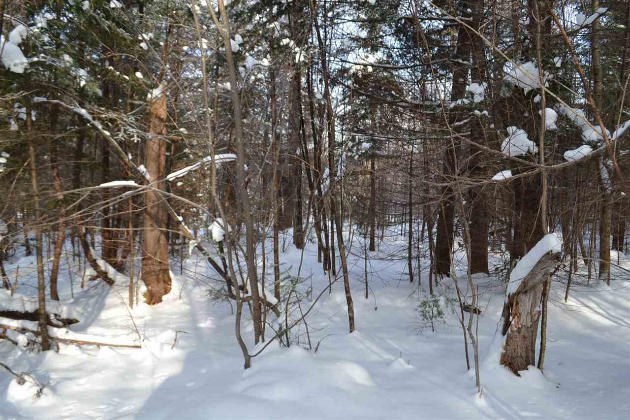 Lot 5 East Bear Swamp Road Middlesex, VT 05602 - Photo 9 of 23