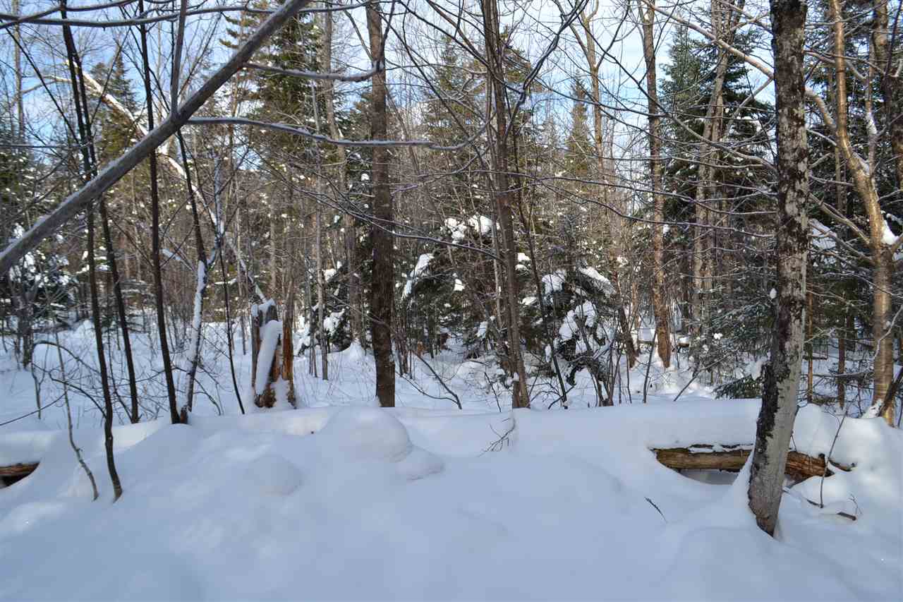 Lot 5 East Bear Swamp Road Middlesex, VT 05602 - Photo 10 of 23