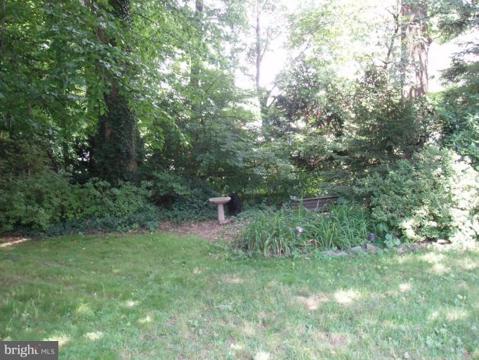 9720 Holmhurst Road Bethesda, MD 20817 - Photo 14 of 30 Back yard