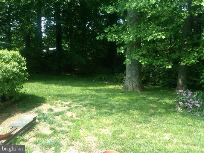 9720 Holmhurst Road Bethesda, MD 20817 - Photo 19 of 30 BEAUTIFUL BACK YARD