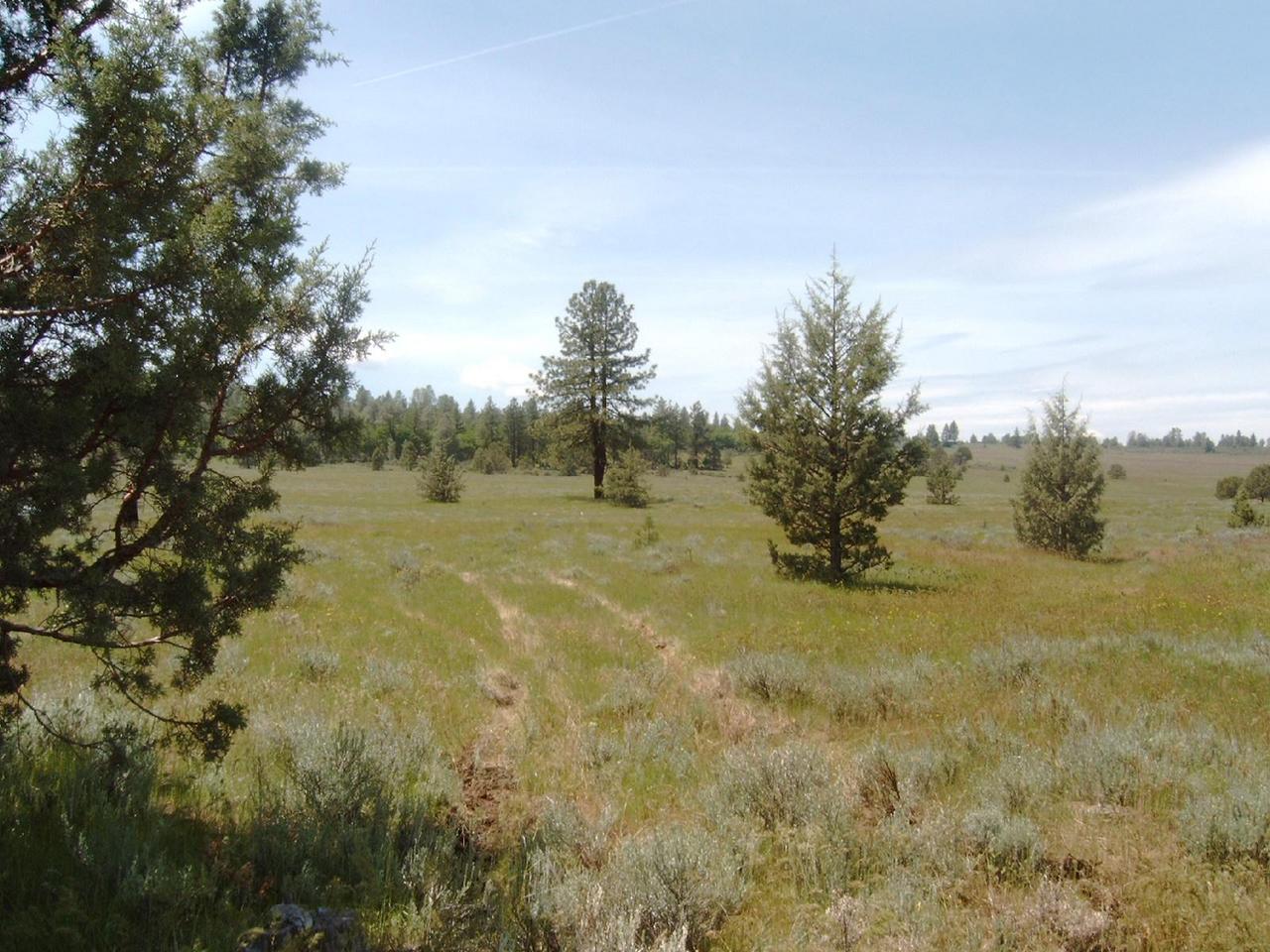 Bald Mt Road Cassel, CA 96016 - Photo 3 of 4 imagooo5