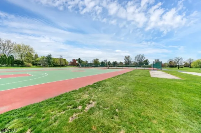 a view of a big yard with plants and large trees