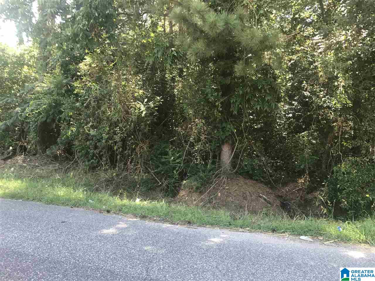 2516 1st Place Northwest, Unit 3 Birmingham, AL 35215 - Photo 3 of 5