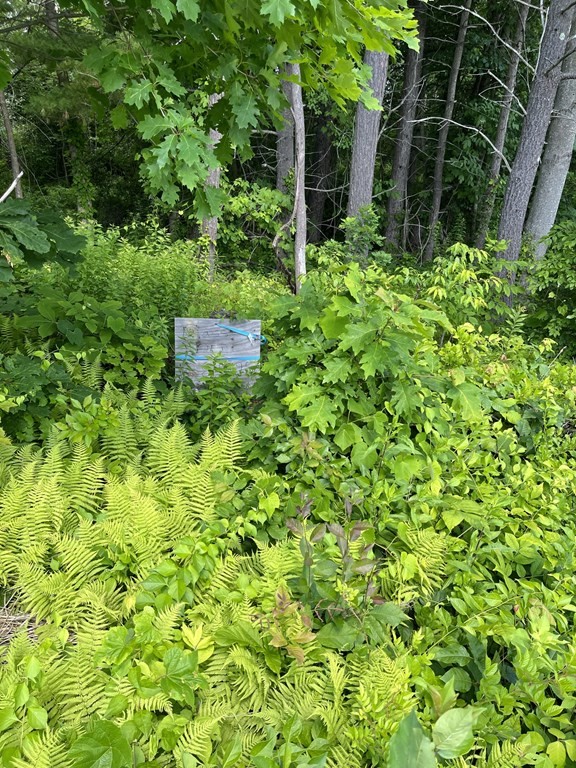 Lot 7 Boucher Road Charlton, MA 01507 - Photo 3 of 3 Gallery Image 3