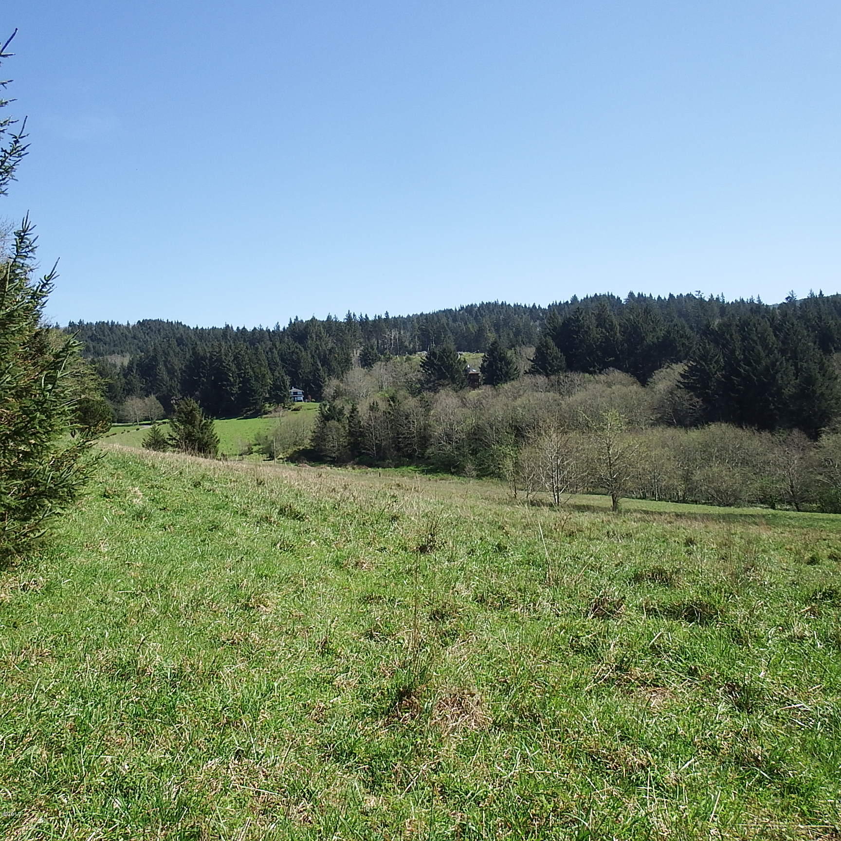 6205 Scherzinger Road Neskowin, OR 97149 - Photo 77 of 88 Pasture
