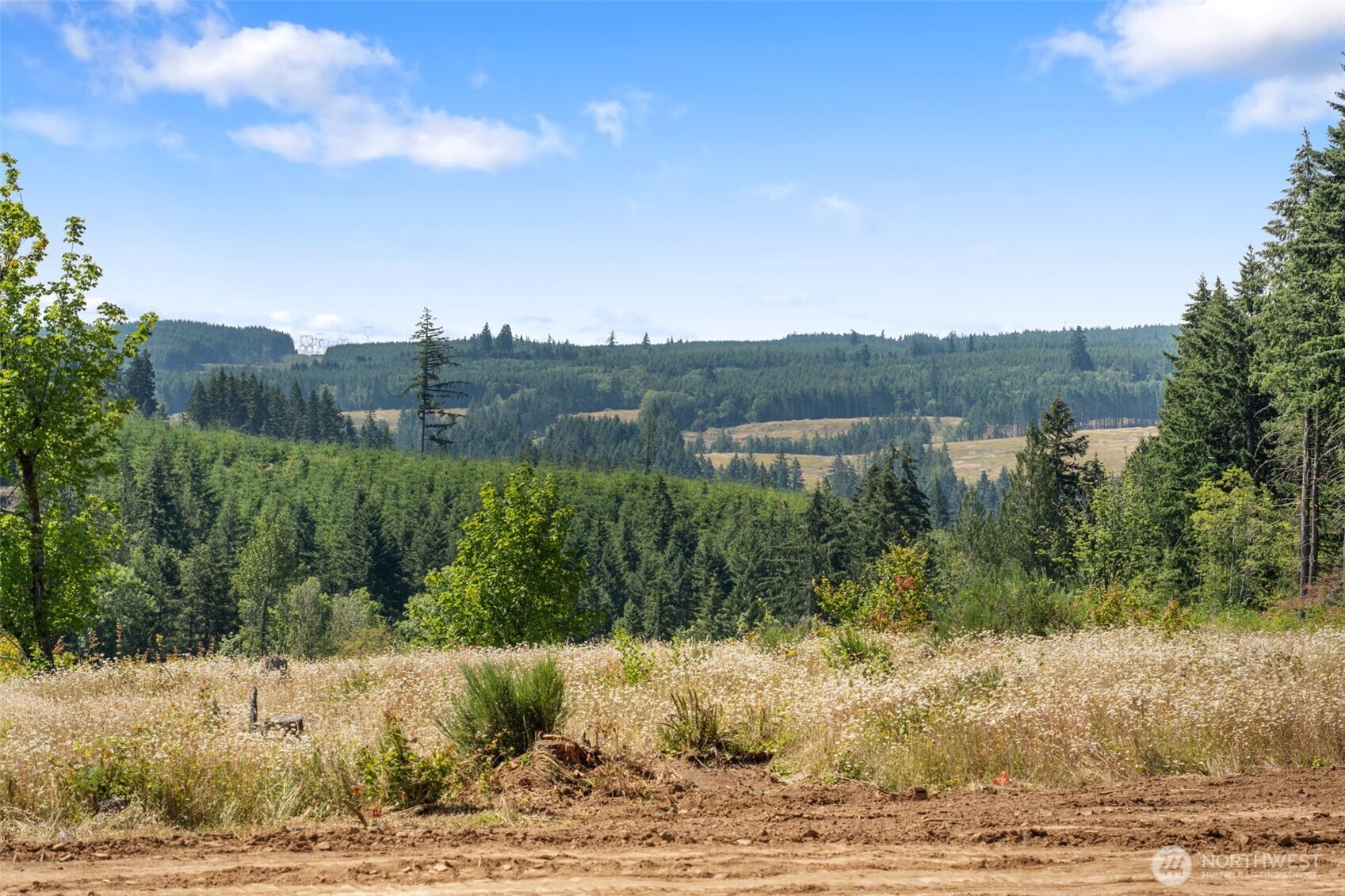 607 Brown Road East Chehalis, WA 98532 - Photo 4 of 18