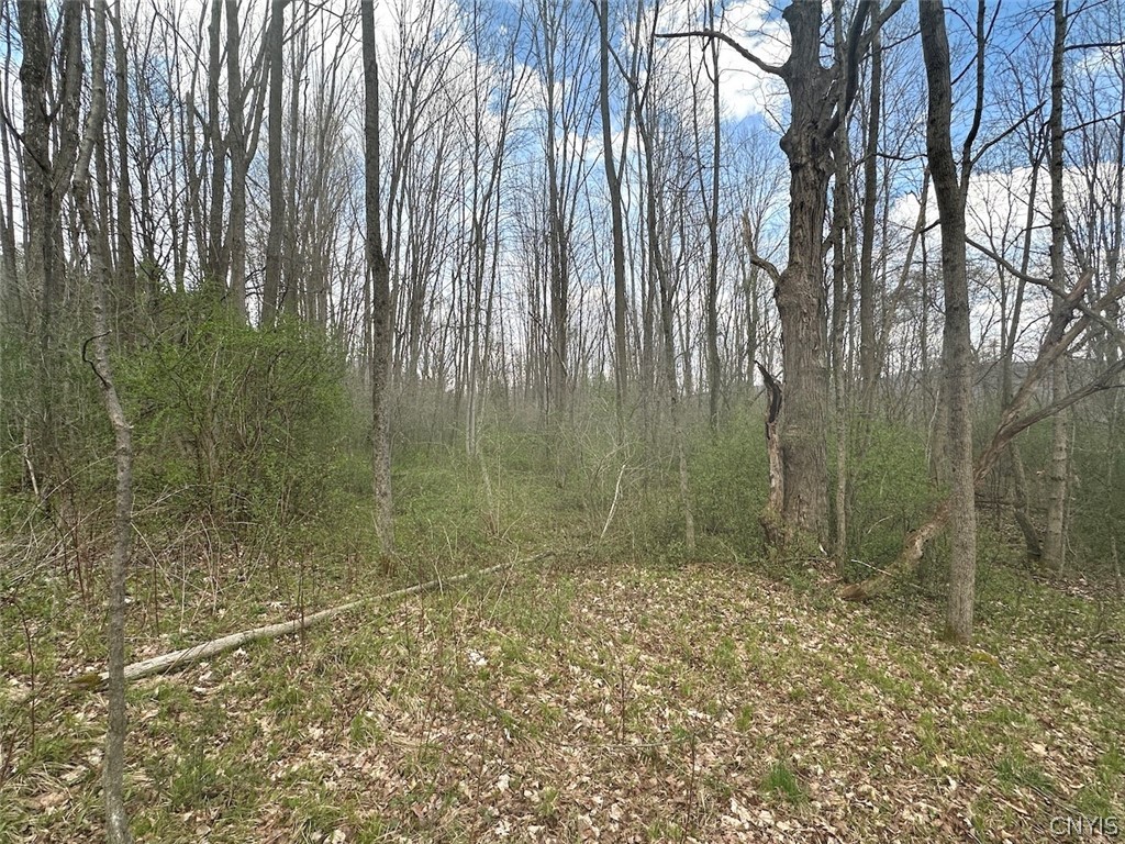 Pigtail Road Friendship, NY 14739 - Photo 3 of 11