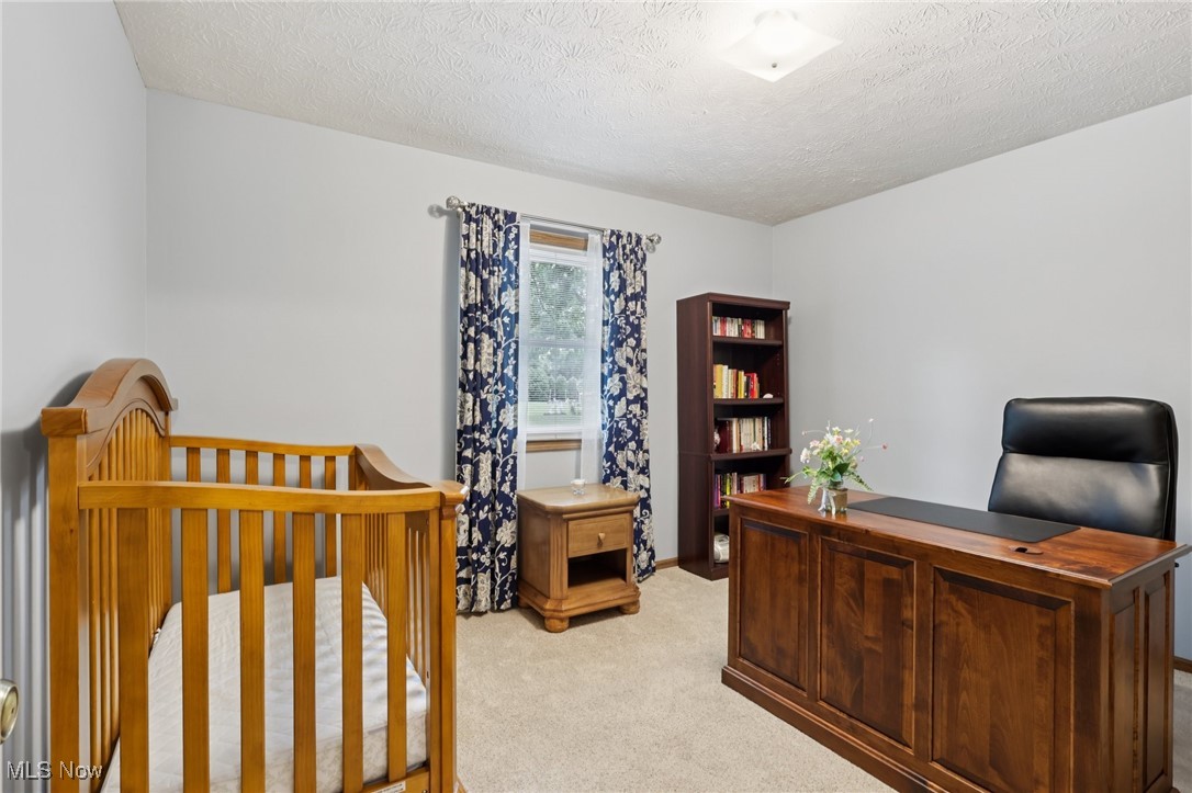 6163 North Oval Road Clinton, OH 44216 - Photo 20 of 41 Bedroom with carpet flooring