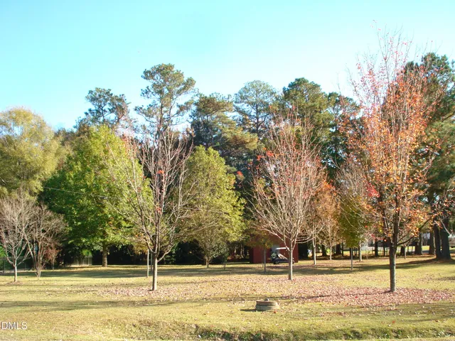 a view of a house with palm trees