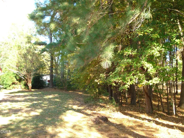 a view of yard with trees