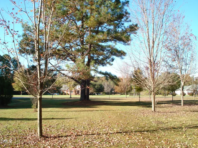 a view of road and trees