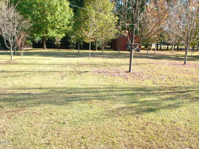 a view of a yard