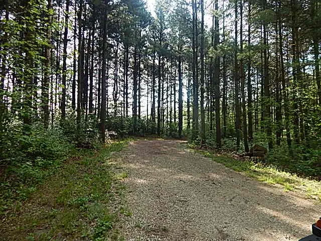 $898,500 | 8475 Gurd Road, Dowling, MI 49050