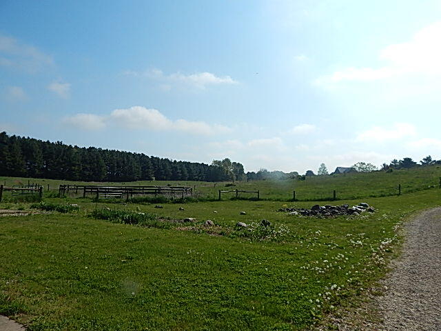 8475 Gurd Road Dowling, MI 49050 - Photo 41 of 73 DSCN1365