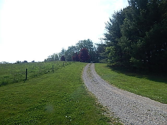 8475 Gurd Road Dowling, MI 49050 - Photo 46 of 73 DSCN1370