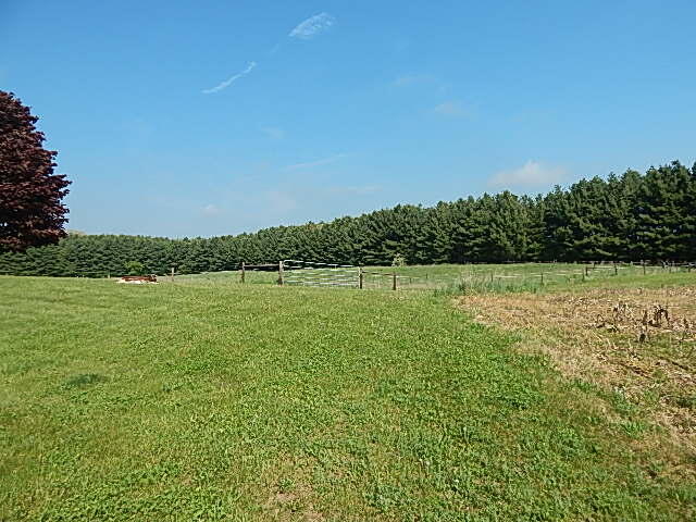 8475 Gurd Road Dowling, MI 49050 - Photo 51 of 73 DSCN1382