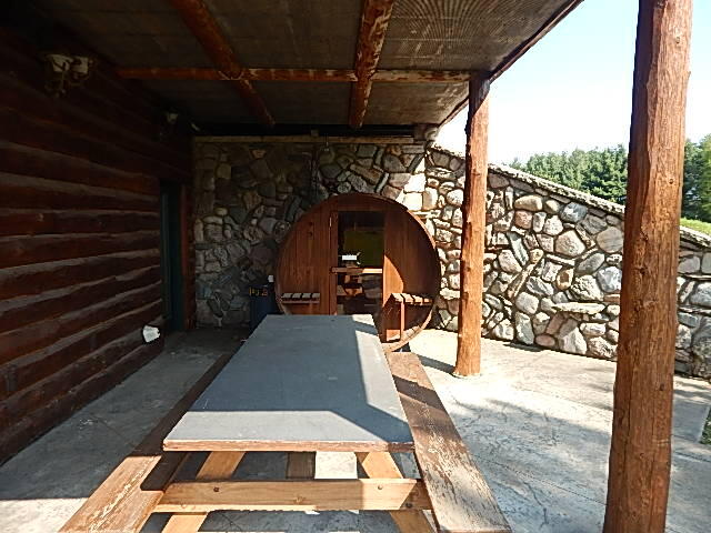 8475 Gurd Road Dowling, MI 49050 - Photo 52 of 73 DSCN1383