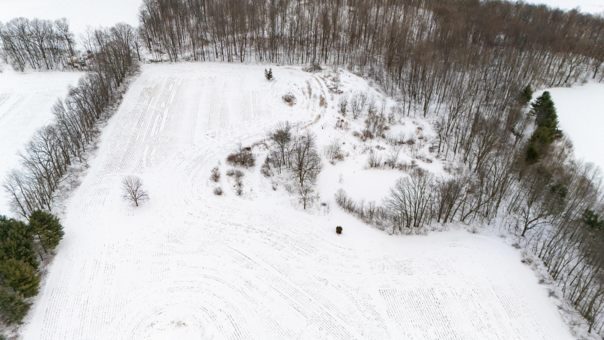 8475 Gurd Road Dowling, MI 49050 - Photo 70 of 73 8475Gurd48