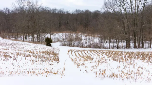 $898,500 | 8475 Gurd Road, Dowling, MI 49050