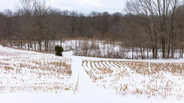 $898,500 | 8475 Gurd Road, Dowling, MI 49050